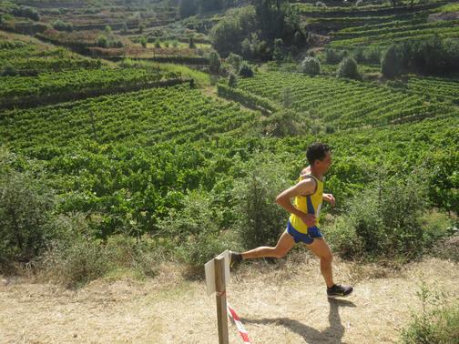 Corrida das Vindimas de Castelo de Paiva