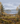 Example background: the autumn forest chosen for Larson